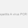 Hepatitis A virus PCR kit